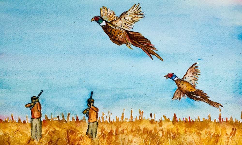 PHEASANT HUNTING